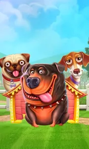 The Dog House